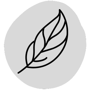 icon feather